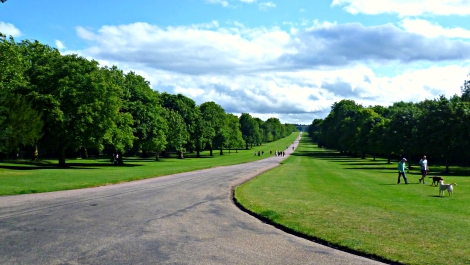 The Great Park in Windsor, England 